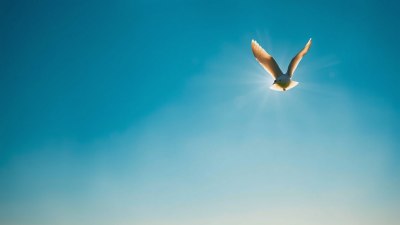 Living Light So You Can Fly Far