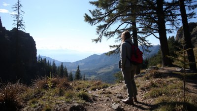 Not All Who Wander Are Lost but Some Are Found