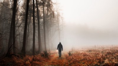 Letting Go of the Old to Embrace the Wild Unknown