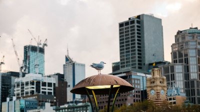 Cities With the Best Side Missions