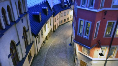 When the Walls Breathe in Tartu, Estonia