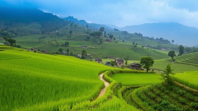 When the Valley Whispers in Ziro, India