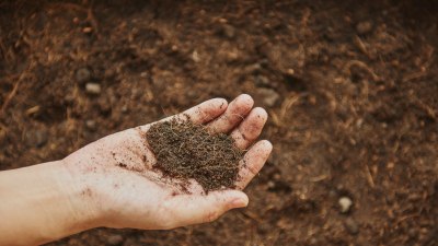 The Dirt Here Knows You’re Temporary
