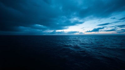 Every Sea Has a Different Kind of Loneliness