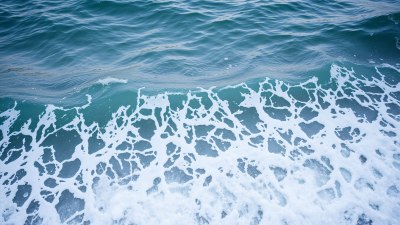 Learning to Wait Like the Tide