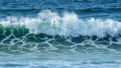 Every Wave Is a Question in Disguise