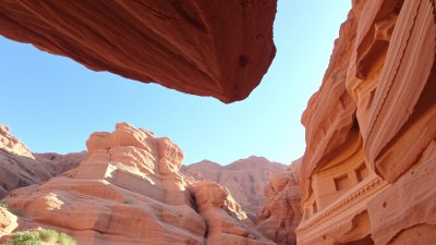 Birdsong and Broken Stone in Petra’s Canyons