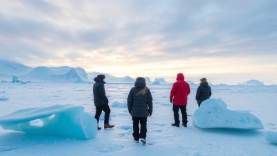 What Silence Tells You in Antarctica