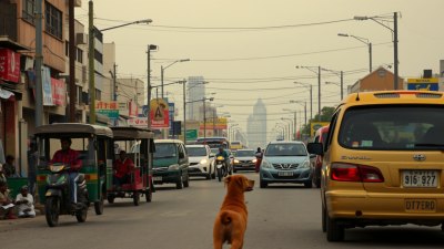 Ambient Machines and Distant Dogs in Addis Ababa