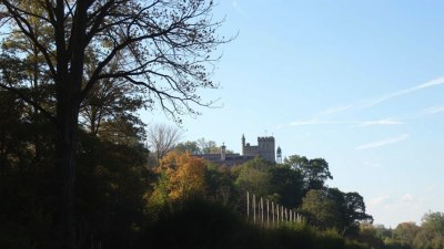 Traveling Through Panem in Rural North Carolina