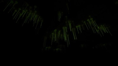 The Darkness That Teaches You to Listen in New Zealand&rsquo;s Glowworm Caves