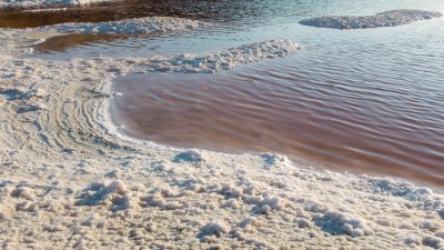 Swimming With Closed Eyes in the Dead Sea