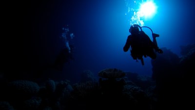 Seeing the Sea in Pitch Black Underwater in the Maldives