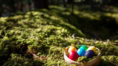 Why Easter Is the Perfect Time for a Nature Retreat