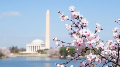 Best Places to See Cherry Blossoms Over the Easter Holiday