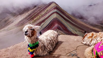 Plug and Voltage Guide for Travelers Going to Peru