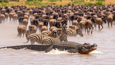 Rare Travel Experiences Only Found in Faraway Lands