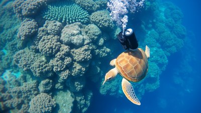 Best Diving Destinations Around the World for Beginners