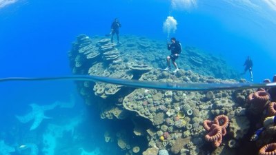 Incredible Wall Dives Around the World