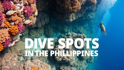 Top Dive Spots in the Philippines You Shouldn't Miss