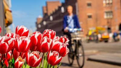 Top Countries for Bike Touring Adventures