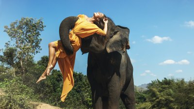 Jaipur's Elephant Rides: Exploring the Pink City in Royal Style