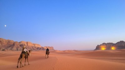 Muscat's Desert Adventures: Camel Rides and Stargazing in Oman