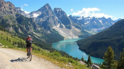 Cycling Tours Through Scenic Sports Landscapes