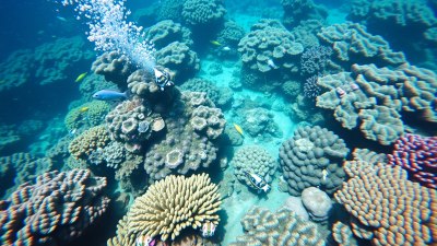 The Best Destinations for Scuba Diving and Snorkeling Trips