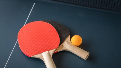 Traveling to Discover the World's Best Table Tennis Clubs