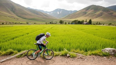 How Sports Travel Can Be a Sustainable Adventure