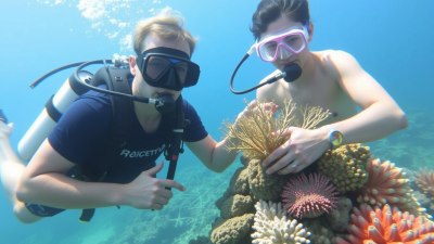 Collecting and Cataloging Different Types of Coral on Dives