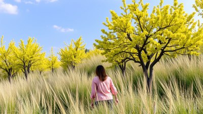 The Sweet Spot Between Spontaneity and Planning
